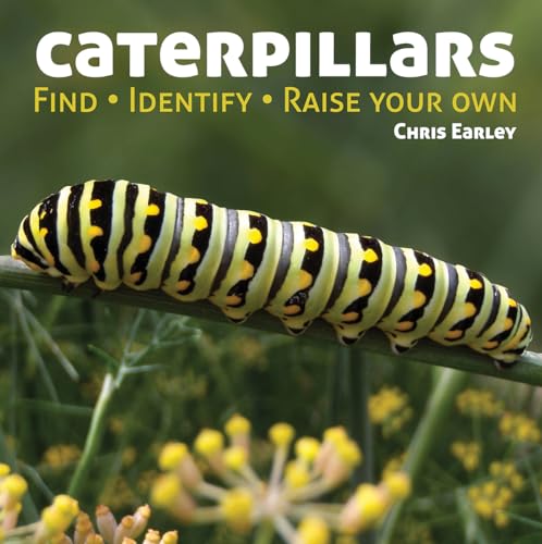 Stock image for Caterpillars : Find - Identify - Raise Your Own for sale by Better World Books