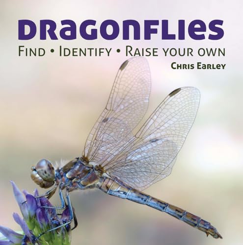 9781770851856: Dragonflies: Hunting - Identifying - How and Where They Live