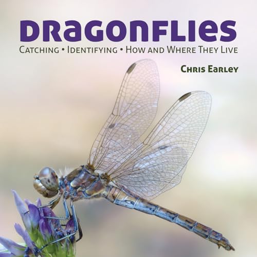 Stock image for Dragonflies: Catching - Identifying - How and Where They Live for sale by SecondSale