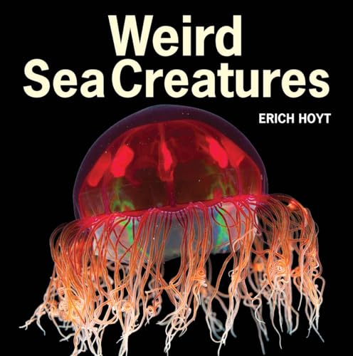 Imagen de archivo de Weird Sea Creatures a la venta por SecondSale