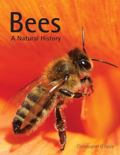 Bees: A Natural History (9781770852082) by O'Toole, Christopher