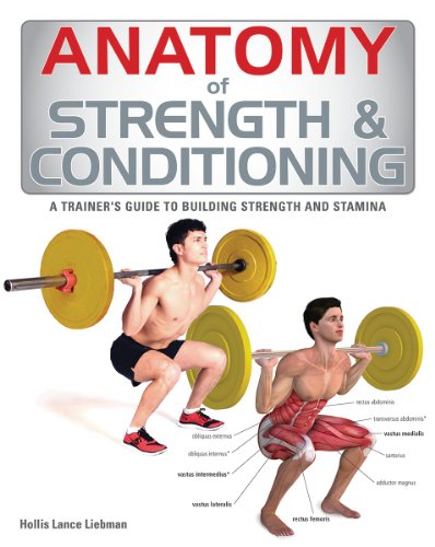 Beispielbild fr Anatomy of Strength & Conditioning: A Trainer's Guide to Building Strength and Stamina zum Verkauf von WorldofBooks