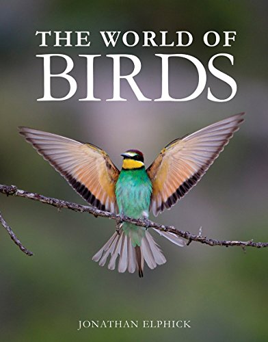 9781770853041: The World of Birds