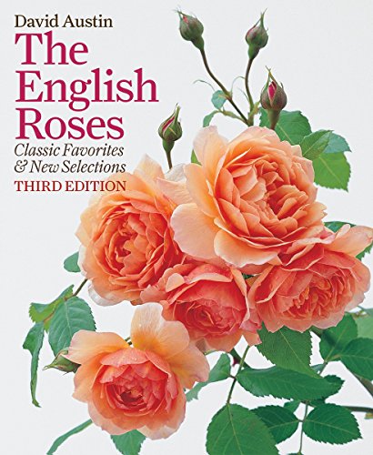 9781770853263: ENGLISH ROSES 3/E