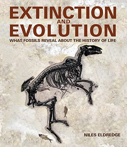Beispielbild fr Extinction and Evolution : What Fossils Reveal about the History of Life zum Verkauf von Better World Books