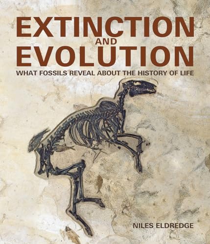 Stock image for Extinction and Evolution: What Fossils Reveal About the History of Life for sale by SecondSale