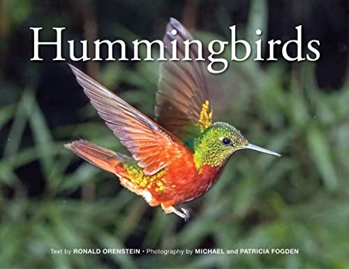 9781770854000: Hummingbirds