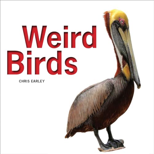 Stock image for Weird Birds for sale by Better World Books: West