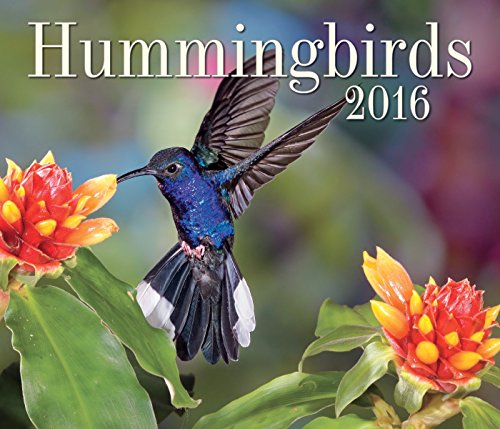 9781770855366: Hummingbirds 2016 Calendar