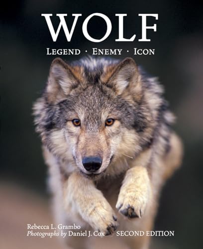 Beispielbild fr Wolf: Legend, Enemy, Icon zum Verkauf von WorldofBooks