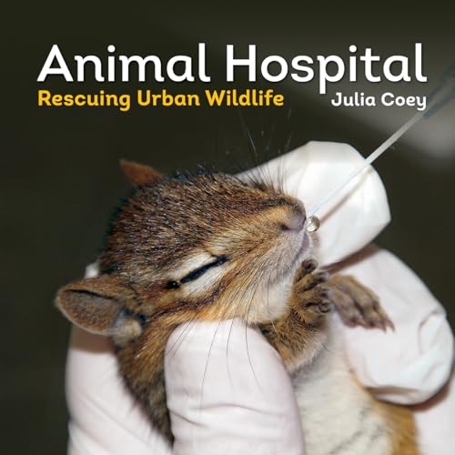 Imagen de archivo de Animal Hospital : Rescuing Urban Wildlife a la venta por Better World Books: West