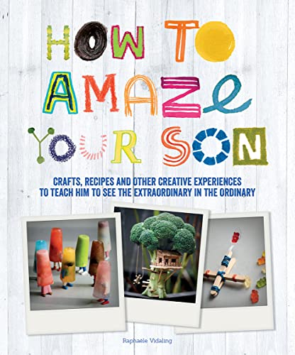 Beispielbild fr How to Amaze Your Son: Crafts, Recipes and Other Creative Experiences to Teach Him to See the Extraordinary in the Ordinary zum Verkauf von Goodwill Books