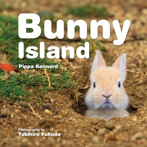 Imagen de archivo de Bunny Island a la venta por SecondSale