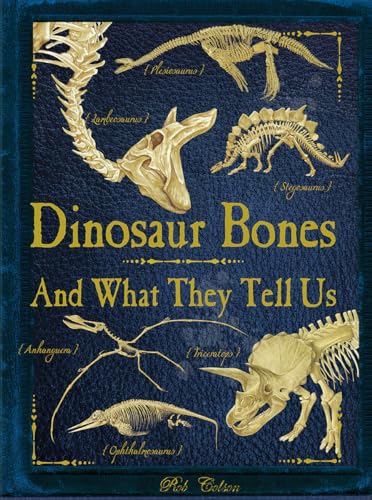 Stock image for Dinosaur Bones : And What They Tell Us for sale by Better World Books: West