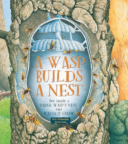 Beispielbild fr A Wasp Builds a Nest : See Inside a Paper Wasp's Nest and Watch It Grow zum Verkauf von Better World Books