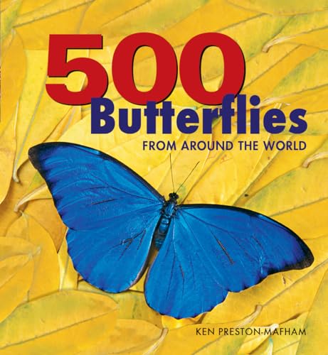 Stock image for 500 Butterflies: Butterflies from Around the World for sale by ThriftBooks-Atlanta