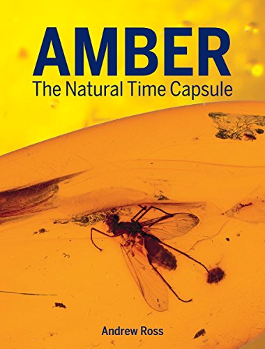 Imagen de archivo de Amber: The Natural Time Capsule a la venta por Book Outpost