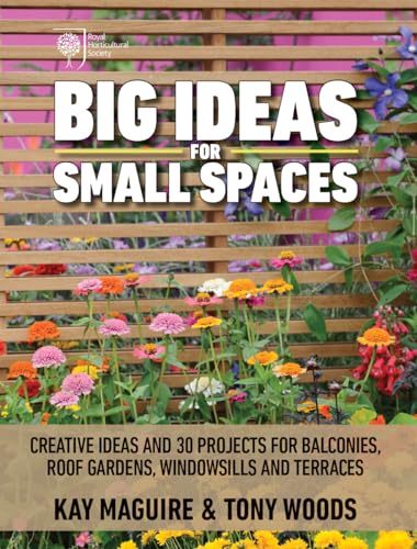 Imagen de archivo de Big Ideas for Small Spaces: Creative Ideas and 30 Projects for Balconies, Roof Gardens, Windowsills and Terraces a la venta por BooksRun