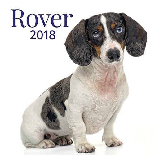 Stock image for Rover 2018 for sale by Y-Not-Books