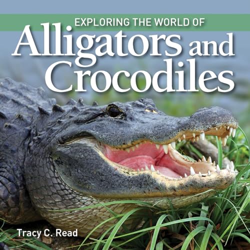 Stock image for Exploring the World of Alligators and Crocodiles for sale by ThriftBooks-Dallas