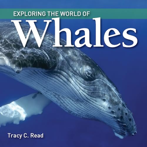 9781770859487: Exploring the World of Whales