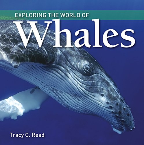 Beispielbild fr Exploring the World of Whales zum Verkauf von Magers and Quinn Booksellers
