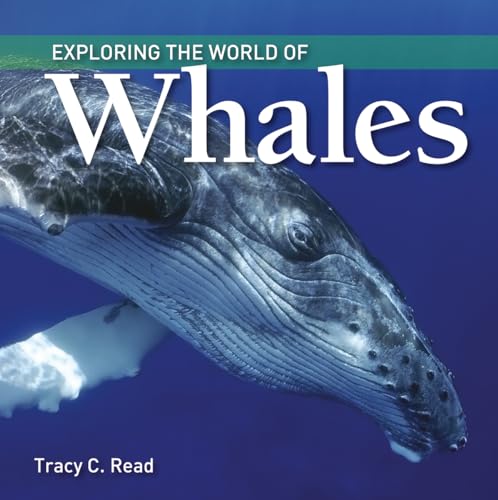 Stock image for Exploring the World of Whales for sale by Magers and Quinn Booksellers