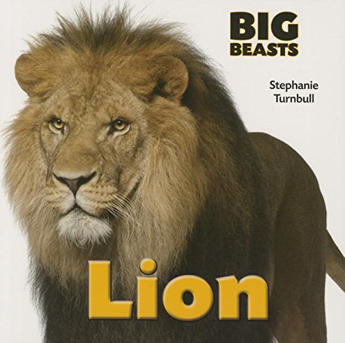 9781770922167: Lion (Big Beasts)