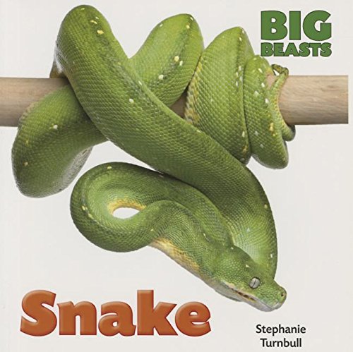 Imagen de archivo de Snake (Big Beasts) a la venta por Irish Booksellers