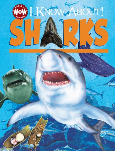 Imagen de archivo de I KNOW ABOUT SHARKS (World of Wonder) a la venta por WorldofBooks