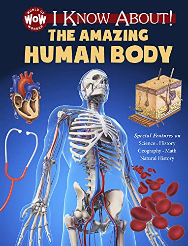 Stock image for I Know about! the Amazing Human Body : I Know About for sale by Better World Books