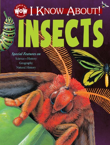 9781770939349: I Know About! Insects (World of Wonder)