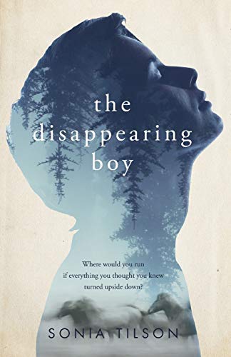Beispielbild fr The Disappearing Boy zum Verkauf von Wonder Book