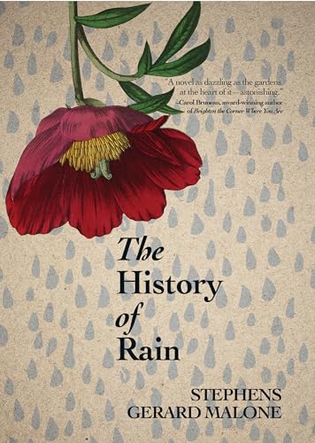 Beispielbild fr The History of Rain zum Verkauf von Blackwell's