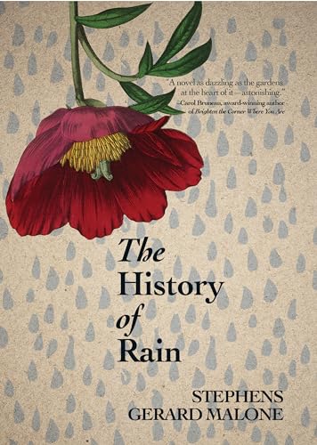 Imagen de archivo de The History of Rain a la venta por Zoom Books Company