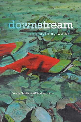 Stock image for downstream: reimagining water (Environmental Humanities) for sale by Zoom Books Company