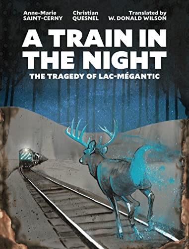 Beispielbild fr A Train in the Night zum Verkauf von Blackwell's