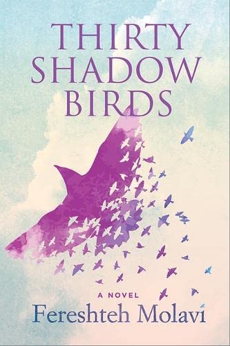 Stock image for Thirty Shadow Birds for sale by PBShop.store US