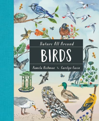 Stock image for Nature All Around: Birds for sale by Half Price Books Inc.