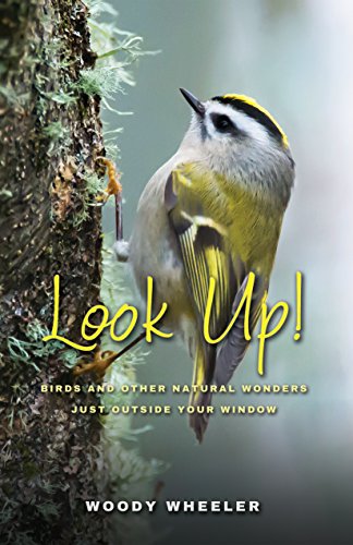 Beispielbild fr Look Up!: Birds and Other Natural Wonders Just Outside Your Window zum Verkauf von Michael Patrick McCarty, Bookseller