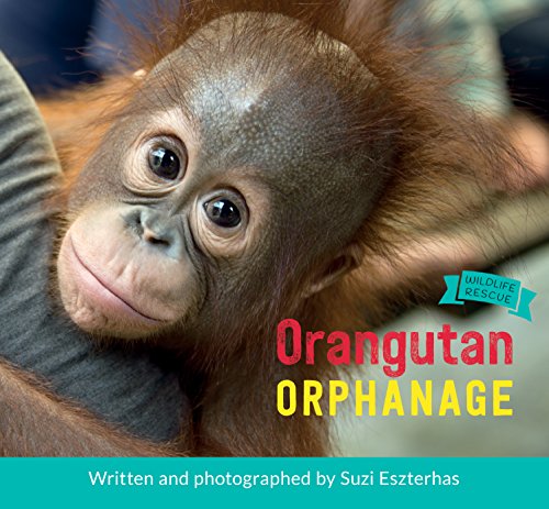 Stock image for Orangutan Orphanage for sale by Better World Books: West