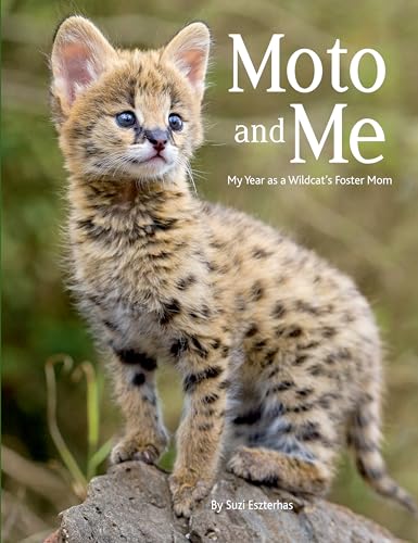 Beispielbild fr Moto and Me: My Year as a Wildcat's Foster Mom zum Verkauf von Better World Books