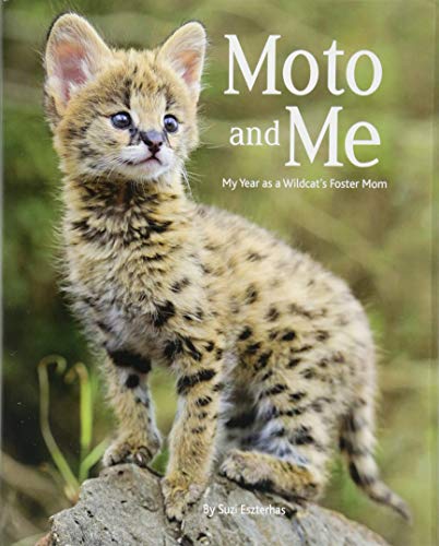 Stock image for Moto and Me: My Year as a Wildcat's Foster Mom for sale by Orion Tech