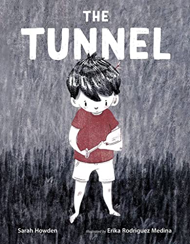 Imagen de archivo de The Tunnel a la venta por More Than Words