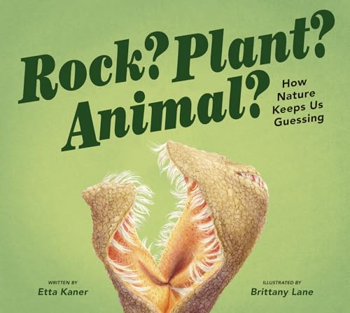 Stock image for Rock? Plant? Animal?: How Nature Keeps Us Guessing for sale by ThriftBooks-Dallas