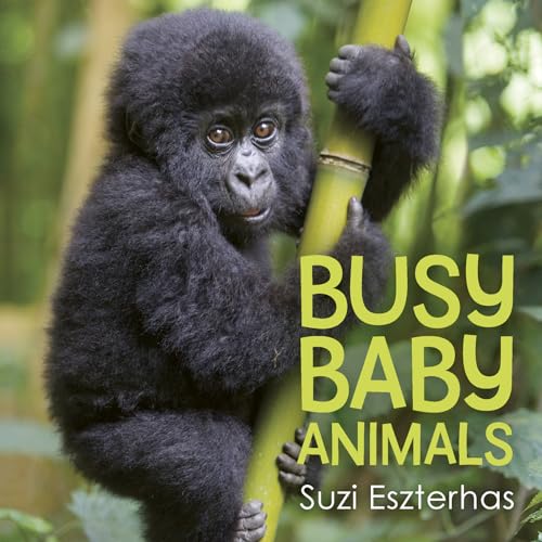 Beispielbild fr Busy Baby Animals zum Verkauf von Better World Books