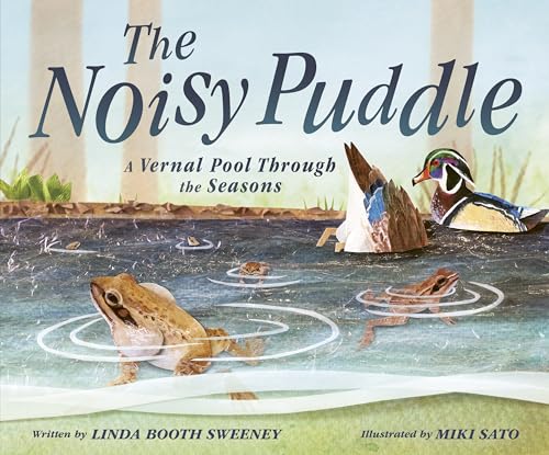 Imagen de archivo de The Noisy Puddle: A Vernal Pool Through the Seasons [Hardcover] Booth Sweeney, Linda and Sato, Miki a la venta por Lakeside Books