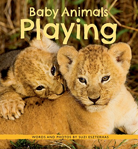 9781771475747: Baby Animals Playing: 1 (Baby Animals, 1)
