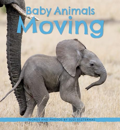 Beispielbild fr Baby Animals Moving zum Verkauf von ThriftBooks-Dallas