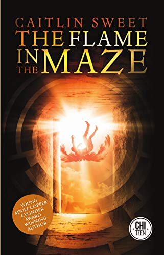 Beispielbild fr The Flame in the Maze zum Verkauf von Better World Books